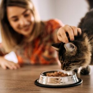 Cibo per gatti