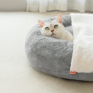 Cucce per gatti