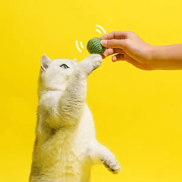 Gioco per gatti Fagiolino in tessuto e sisal Leopet - immagine 3