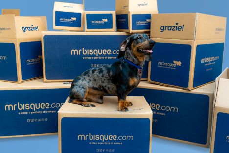 Mr. Bisquee