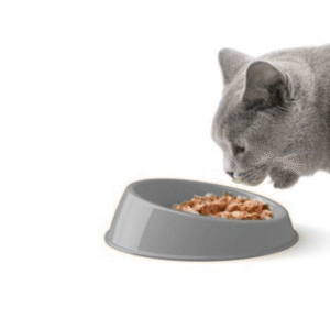 Ciotola per gatto Georplast Vibrissa